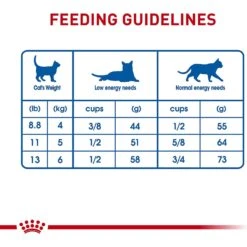 Royal Canin Feline Health Nutrition Indoor Long Hair Adult Dry Cat Food -Wellness Sales 48726 PT6. AC SS1800 V1697760925