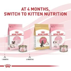 Royal Canin Feline Health Nutrition Mother & Babycat Ultra Soft Mousse In Sauce Canned Cat Food 14 Royal Canin Feline Health Nutrition Mother & Babycat Ultra Soft Mousse In Sauce Canned Cat Food -Wellness Sales 48732 PT5. AC SS1800 V1695054506