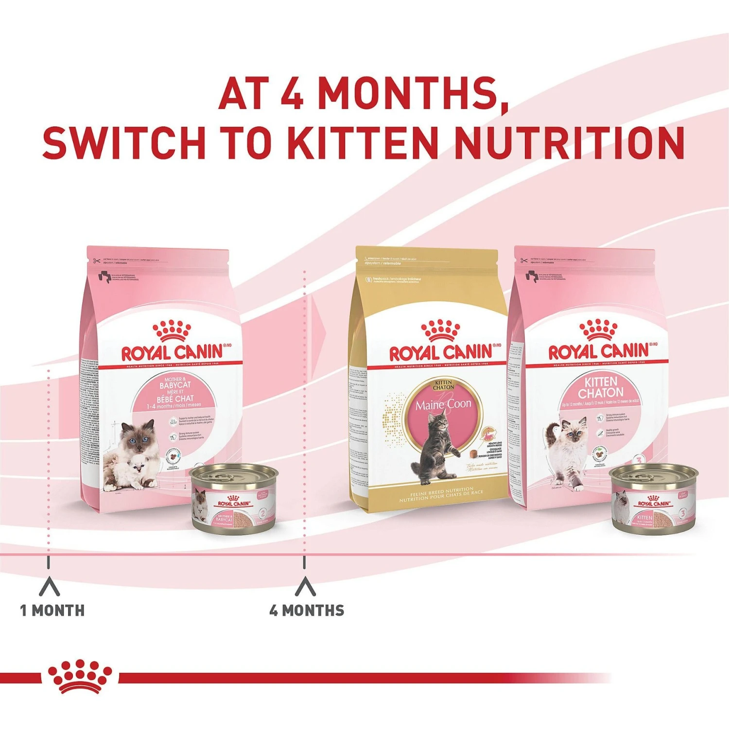 Royal Canin Feline Health Nutrition Mother & Babycat Ultra Soft Mousse In Sauce Canned Cat Food 6 Royal Canin Feline Health Nutrition Mother & Babycat Ultra Soft Mousse In Sauce Canned Cat Food - Image 6