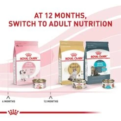 Royal Canin Feline Health Nutrition Thin Slices In Gravy Wet Kitten Food -Wellness Sales 48733 PT5. AC SS1800 V1702071434