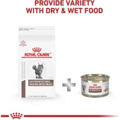 Royal Canin Veterinary Diet Adult Gastrointestinal Dry Cat Food -Wellness Sales 48752 PT6. AC SS1800 V1691506470