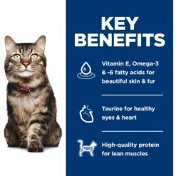 Hill's Science Diet Adult 7+ Hairball Control Dry Cat Food -Wellness Sales 48862 PT4. AC SS1800 V1598151382