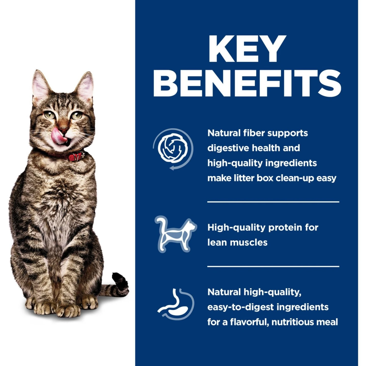 Hill's Science Diet Adult 7+ Indoor Chicken Recipe Dry Cat Food 4 Hill's Science Diet Adult 7+ Indoor Chicken Recipe Dry Cat Food - Image 4