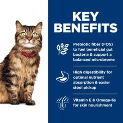 Hill's Science Diet Adult Sensitive Stomach & Sensitive Skin Chicken & Rice Recipe Dry Cat Food 14 Hill's Science Diet Adult Sensitive Stomach & Sensitive Skin Chicken & Rice Recipe Dry Cat Food -Wellness Sales 48888 PT5. AC SS1800 V1617660461