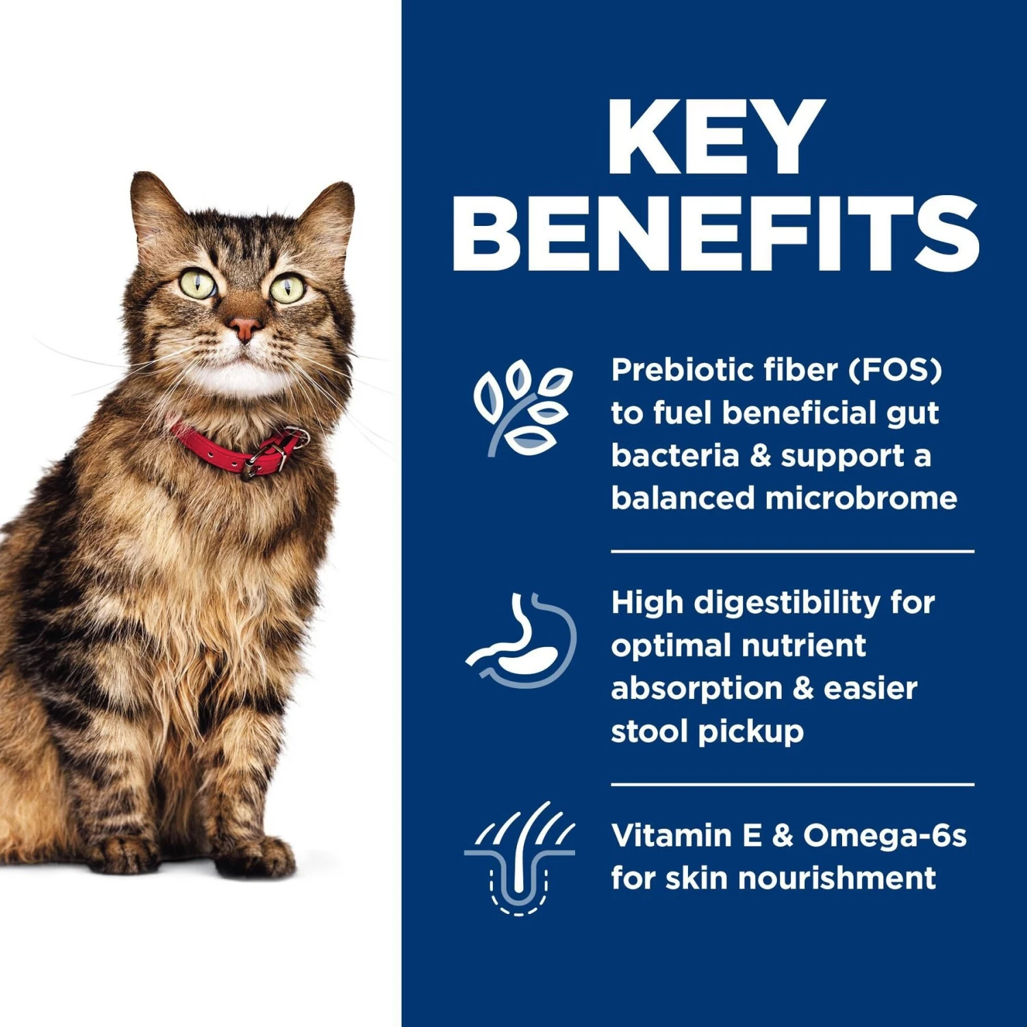 Hill's Science Diet Adult Sensitive Stomach & Sensitive Skin Chicken & Rice Recipe Dry Cat Food 6 Hill's Science Diet Adult Sensitive Stomach & Sensitive Skin Chicken & Rice Recipe Dry Cat Food - Image 6