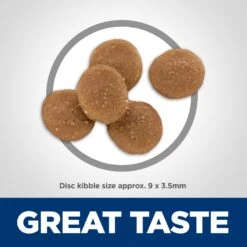 Hill's Science Diet Adult Sensitive Stomach & Sensitive Skin Chicken & Rice Recipe Dry Cat Food 15 Hill's Science Diet Adult Sensitive Stomach & Sensitive Skin Chicken & Rice Recipe Dry Cat Food -Wellness Sales 48888 PT6. AC SS1800 V1617659538