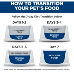 Hill's Science Diet Adult Sensitive Stomach & Sensitive Skin Chicken & Rice Recipe Dry Cat Food 17 Hill's Science Diet Adult Sensitive Stomach & Sensitive Skin Chicken & Rice Recipe Dry Cat Food -Wellness Sales 48888 PT8. AC SS1800 V1617658898