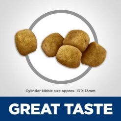 Hill's Science Diet Adult Oral Care Dry Cat Food -Wellness Sales 48939 PT2. AC SS1800 V1609456339