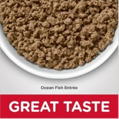 Hill's Science Diet Adult Hairball Control Ocean Fish Entree Canned Cat Food -Wellness Sales 48987 PT5. AC SS1800 V1598145360
