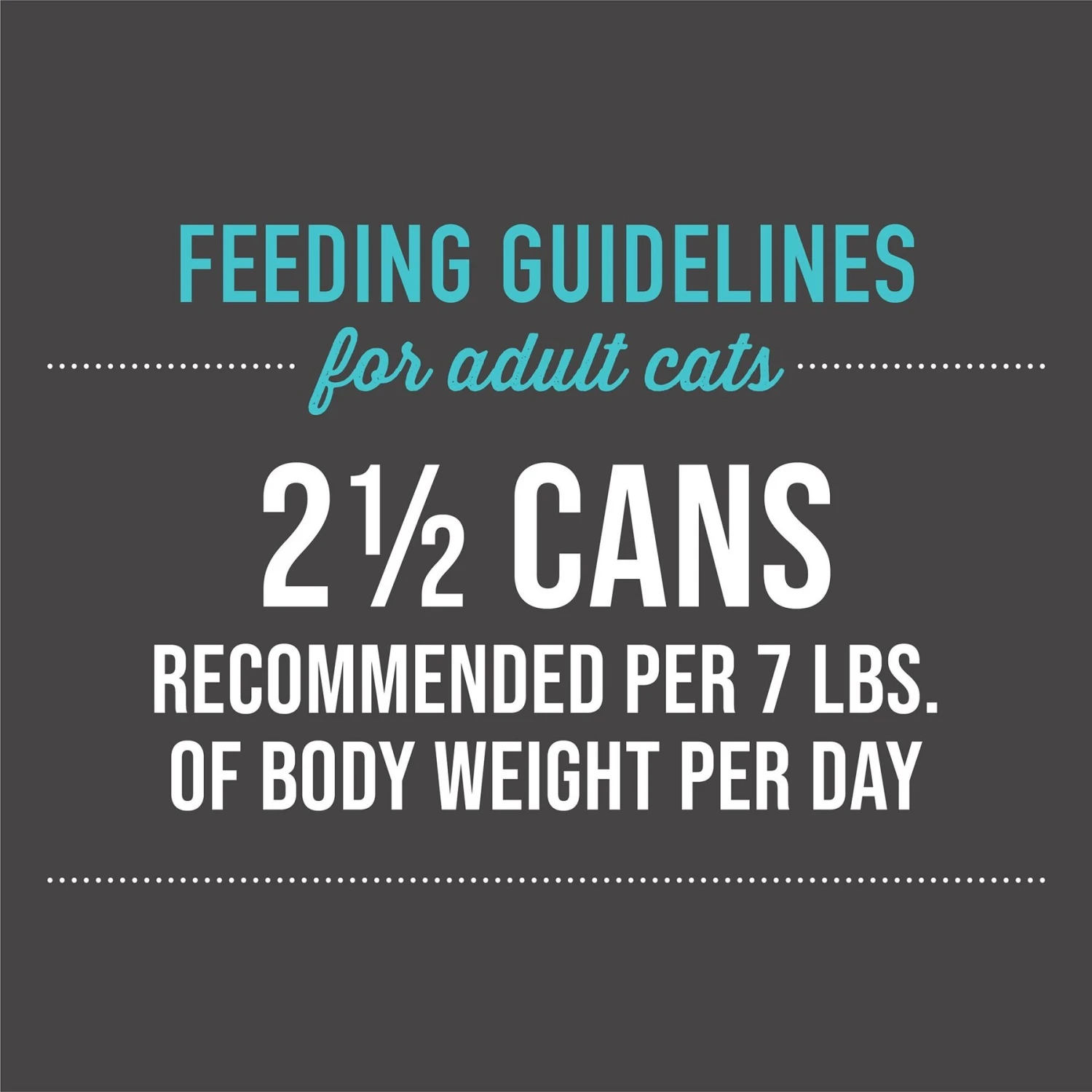 Tiki Cat Luau Succulent Chicken In Chicken Consomme Grain-Free Canned Cat Food 6 Tiki Cat Luau Succulent Chicken In Chicken Consomme Grain-Free Canned Cat Food - Image 6