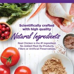 Wellness Complete Health Kitten Chicken Entree Recipe Natural Canned Cat Food 11 Wellness Complete Health Kitten Chicken Entree Recipe Natural Canned Cat Food -Wellness Sales 49274 PT2. AC SS1800 V1690899634