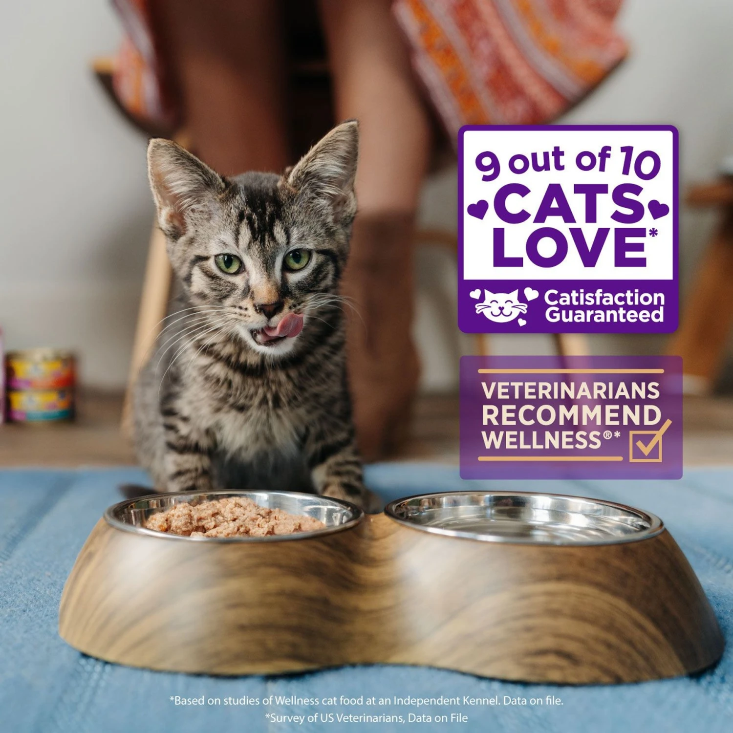 Wellness Complete Health Kitten Chicken Entree Recipe Natural Canned Cat Food 4 Wellness Complete Health Kitten Chicken Entree Recipe Natural Canned Cat Food - Image 4