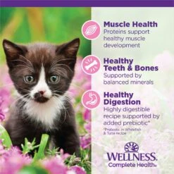 Wellness Complete Health Kitten Chicken Entree Recipe Natural Canned Cat Food 13 Wellness Complete Health Kitten Chicken Entree Recipe Natural Canned Cat Food -Wellness Sales 49274 PT4. AC SS1800 V1690904775
