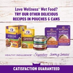 Wellness Complete Health Kitten Chicken Entree Recipe Natural Canned Cat Food 16 Wellness Complete Health Kitten Chicken Entree Recipe Natural Canned Cat Food -Wellness Sales 49274 PT7. AC SS1800 V1690904768