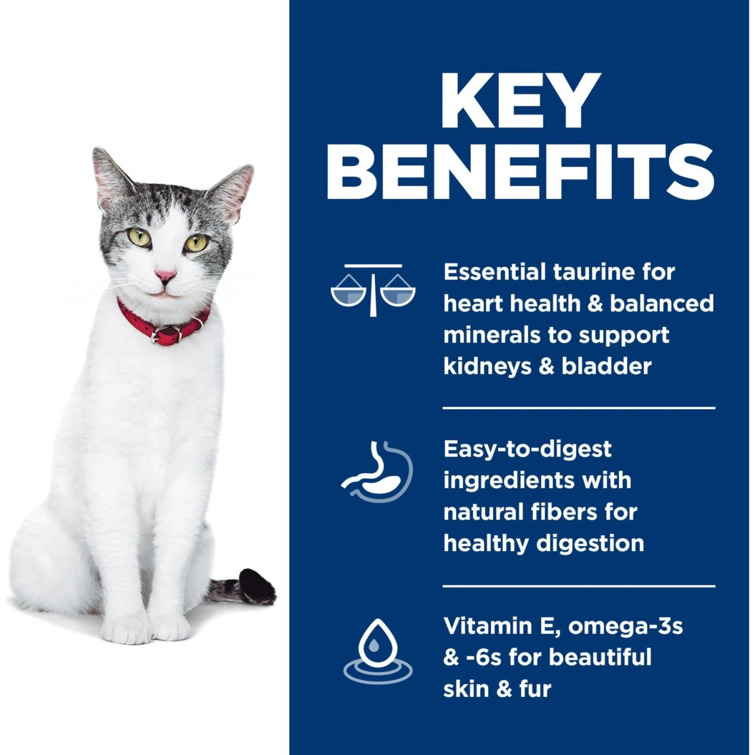 Hill's Science Diet Adult 11+ Chicken Recipe Dry Cat Food 4 Hill's Science Diet Adult 11+ Chicken Recipe Dry Cat Food - Image 4