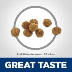 Hill's Science Diet Adult 11+ Chicken Recipe Dry Cat Food 13 Hill's Science Diet Adult 11+ Chicken Recipe Dry Cat Food -Wellness Sales 49534 PT4. AC SS1800 V1598157086