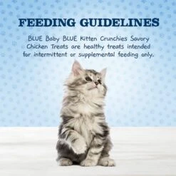 Blue Buffalo Baby Blue Healthy Growth Formula Natural Chicken & Brown Rice Recipe Kitten Dry Food & Blue Buffalo Baby Blue Savory Chicken Kitten Treats, 2-oz Bag -Wellness Sales 501894 PT8. AC SS1800 V1648504327