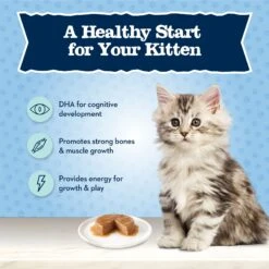Blue Buffalo Baby Blue Healthy Growth Formula Grain-Free High Protein Salmon Recipe Kitten Wet Food, 3-oz Cans, Case Of 24 -Wellness Sales 502278 PT3. AC SS1800 V1647636713