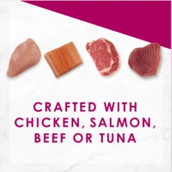 Applaws Adult Complete Chicken Recipe With Country Vegetables Grain-Free Dry Cat Food & Fancy Feast Savory Centers Variety Pack Canned Cat Food 16 Applaws Adult Complete Chicken Recipe With Country Vegetables Grain-Free Dry Cat Food & Fancy Feast Savory Centers Variety Pack Canned Cat Food -Wellness Sales 502974 PT7. AC SS1800 V1648476085