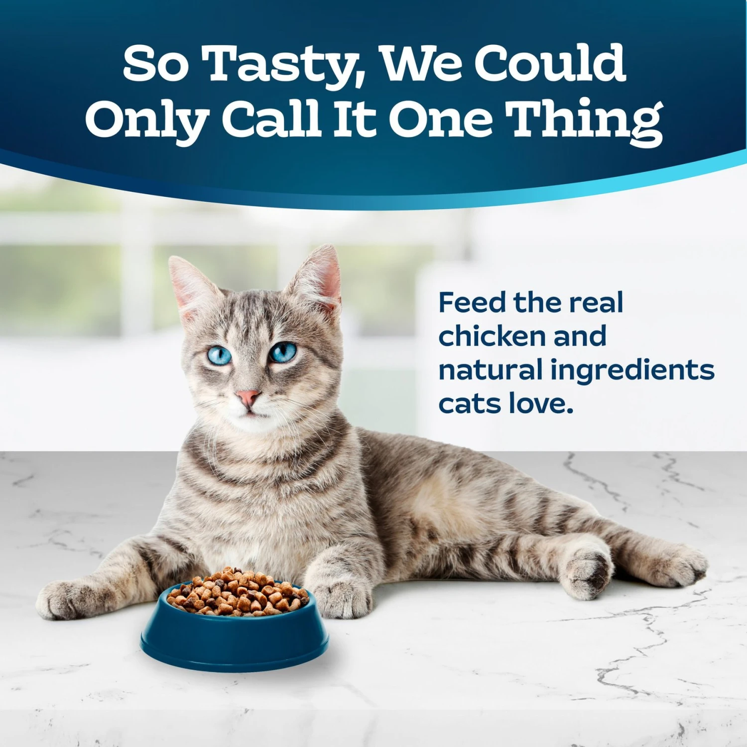 Blue Buffalo Tastefuls Sensitive Stomach Natural Chicken Adult Dry Cat Food 3 Blue Buffalo Tastefuls Sensitive Stomach Natural Chicken Adult Dry Cat Food - Image 3