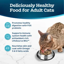Blue Buffalo Tastefuls Sensitive Stomach Natural Chicken Adult Dry Cat Food 12 Blue Buffalo Tastefuls Sensitive Stomach Natural Chicken Adult Dry Cat Food -Wellness Sales 50765 PT3. AC SS1800 V1692642080