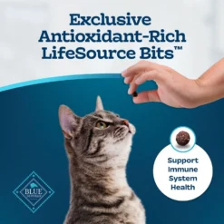 Blue Buffalo Tastefuls Sensitive Stomach Natural Chicken Adult Dry Cat Food 15 Blue Buffalo Tastefuls Sensitive Stomach Natural Chicken Adult Dry Cat Food -Wellness Sales 50765 PT6. AC SS1800 V1692646074