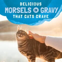 Natural Balance Platefulls Indoor Formula Mackerel & Sardine In Gravy Grain-Free Cat Food Pouches -Wellness Sales 50934 PT7. AC SS1800 V1677532157