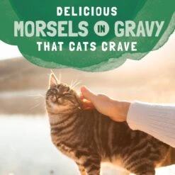 Natural Balance Platefulls Chicken & Giblets Formula In Gravy Grain-Free Cat Food Pouches -Wellness Sales 50938 PT7. AC SS1800 V1675455580