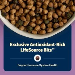 Blue Buffalo Freedom Indoor Adult Chicken Recipe Grain-Free Dry Cat Food -Wellness Sales 51730 PT6. AC SS1800 V1649107900