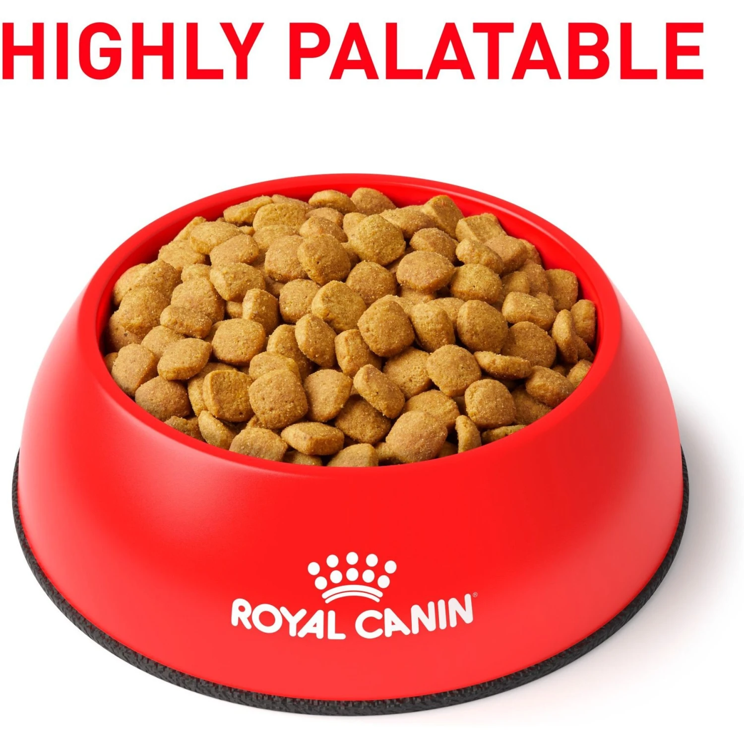 Royal Canin Veterinary Diet Adult Glycobalance Dry Cat Food 2 Royal Canin Veterinary Diet Adult Glycobalance Dry Cat Food - Image 2