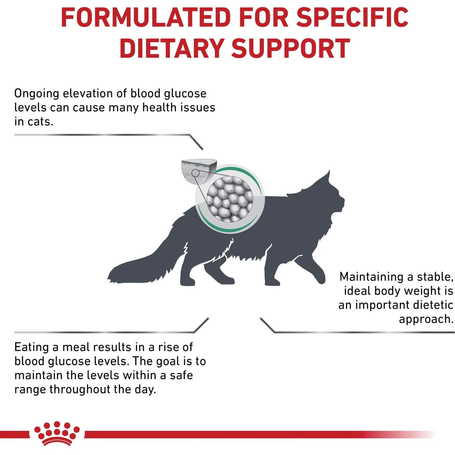 Royal Canin Veterinary Diet Adult Glycobalance Dry Cat Food 3 Royal Canin Veterinary Diet Adult Glycobalance Dry Cat Food - Image 3