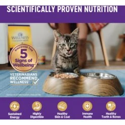 Wellness Complete Health Natural Minced Salmon Dinner Grain-Free Canned Cat Food 11 Wellness Complete Health Natural Minced Salmon Dinner Grain-Free Canned Cat Food -Wellness Sales 52112 PT4. AC SS1800 V1636514812