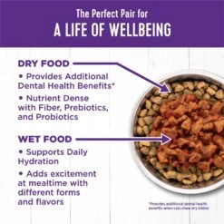 Wellness Complete Health Natural Minced Salmon Dinner Grain-Free Canned Cat Food 12 Wellness Complete Health Natural Minced Salmon Dinner Grain-Free Canned Cat Food -Wellness Sales 52112 PT5. AC SS1800 V1636497800