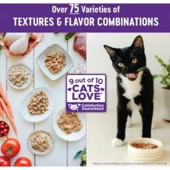 Wellness Complete Health Natural Minced Salmon Dinner Grain-Free Canned Cat Food 13 Wellness Complete Health Natural Minced Salmon Dinner Grain-Free Canned Cat Food -Wellness Sales 52112 PT6. AC SS1800 V1636519579