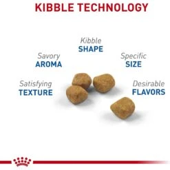 Royal Canin Feline Health Nutrition Indoor 7+ Adult Dry Cat Food 12 Royal Canin Feline Health Nutrition Indoor 7+ Adult Dry Cat Food -Wellness Sales 52425 PT3. AC SS1800 V1697762330