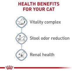 Royal Canin Feline Health Nutrition Indoor 7+ Adult Dry Cat Food 13 Royal Canin Feline Health Nutrition Indoor 7+ Adult Dry Cat Food -Wellness Sales 52425 PT4. AC SS1800 V1697761878