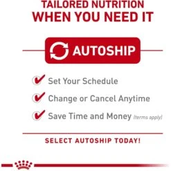 Royal Canin Feline Health Nutrition Savor Selective Adult Dry Cat Food 11 Royal Canin Feline Health Nutrition Savor Selective Adult Dry Cat Food -Wellness Sales 52431 PT4. AC SS1800 V1697761639