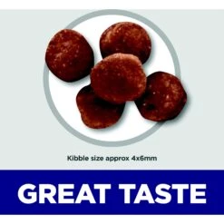 Hill's Science Diet Indoor Kitten Dry Cat Food 11 Hill's Science Diet Indoor Kitten Dry Cat Food -Wellness Sales 52723 PT2. AC SS1800 V1690571445