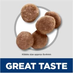 Hill's Science Diet Kitten Healthy Development Chicken Recipe Dry Cat Food -Wellness Sales 52751 PT2. AC SS1800 V1690571431