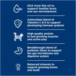 Hill's Science Diet Kitten Healthy Development Chicken Recipe Dry Cat Food -Wellness Sales 52751 PT4. AC SS1800 V1690562171