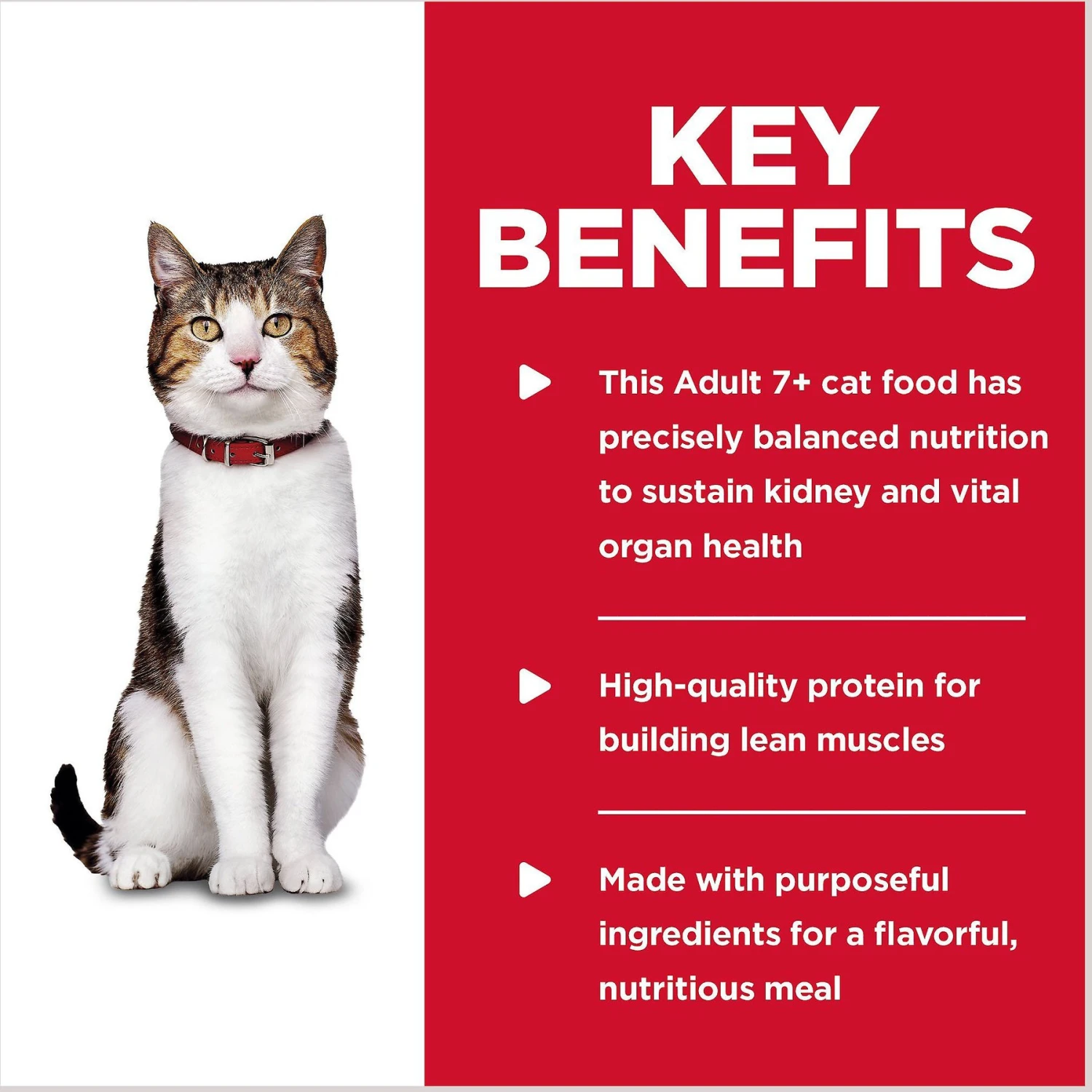 Hill's Science Diet Adult 7+ Tender Tuna Dinner Canned Cat Food 5 Hill's Science Diet Adult 7+ Tender Tuna Dinner Canned Cat Food - Image 5