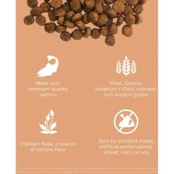 Go! Solutions Digestive + Gut Health Salmon Recipe With Ancient Grains For Cats -Wellness Sales 539574 PT2. AC SS1800 V1662061727