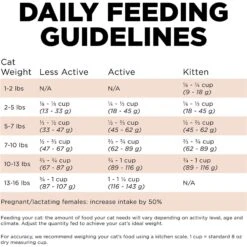 Go! Solutions Digestive + Gut Health Salmon Recipe With Ancient Grains For Cats -Wellness Sales 539574 PT5. AC SS1800 V1662062540