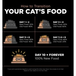 Go! Solutions Digestive + Gut Health Salmon Recipe With Ancient Grains For Cats -Wellness Sales 539574 PT6. AC SS1800 V1662062182