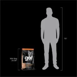 Go! Solutions Digestive + Gut Health Salmon Recipe With Ancient Grains For Cats -Wellness Sales 539574 PT8. AC SS1800 V1662065700