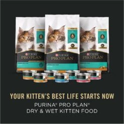 Purina Pro Plan Complete & Balanced Kitten Starter Pack Cat Food, 2.12-lb Box -Wellness Sales 542054 PT7. AC SS1800 V1652975488