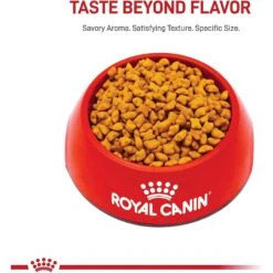 New Arrival -Wellness Sales 54330 PT2. AC SS1800 V1697760732