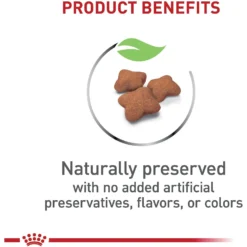 Royal Canin Feline Health Nutrition Kitten Spayed/Neutered Dry Cat Food -Wellness Sales 54330 PT3. AC SS1800 V1697732909