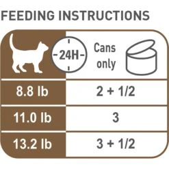 Royal Canin Aging 12+ Thin Slices In Gravy Canned Cat Food -Wellness Sales 54340 PT2. AC SS1800 V1698094654