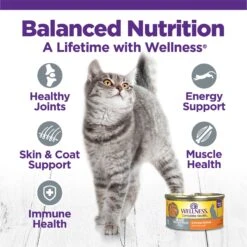 Wellness Complete Health Age Advantage Grain-Free Variety Pack Wet Cat Food, 3-oz Can, Case Of 24 -Wellness Sales 548950 PT3. AC SS1800 V1657659362